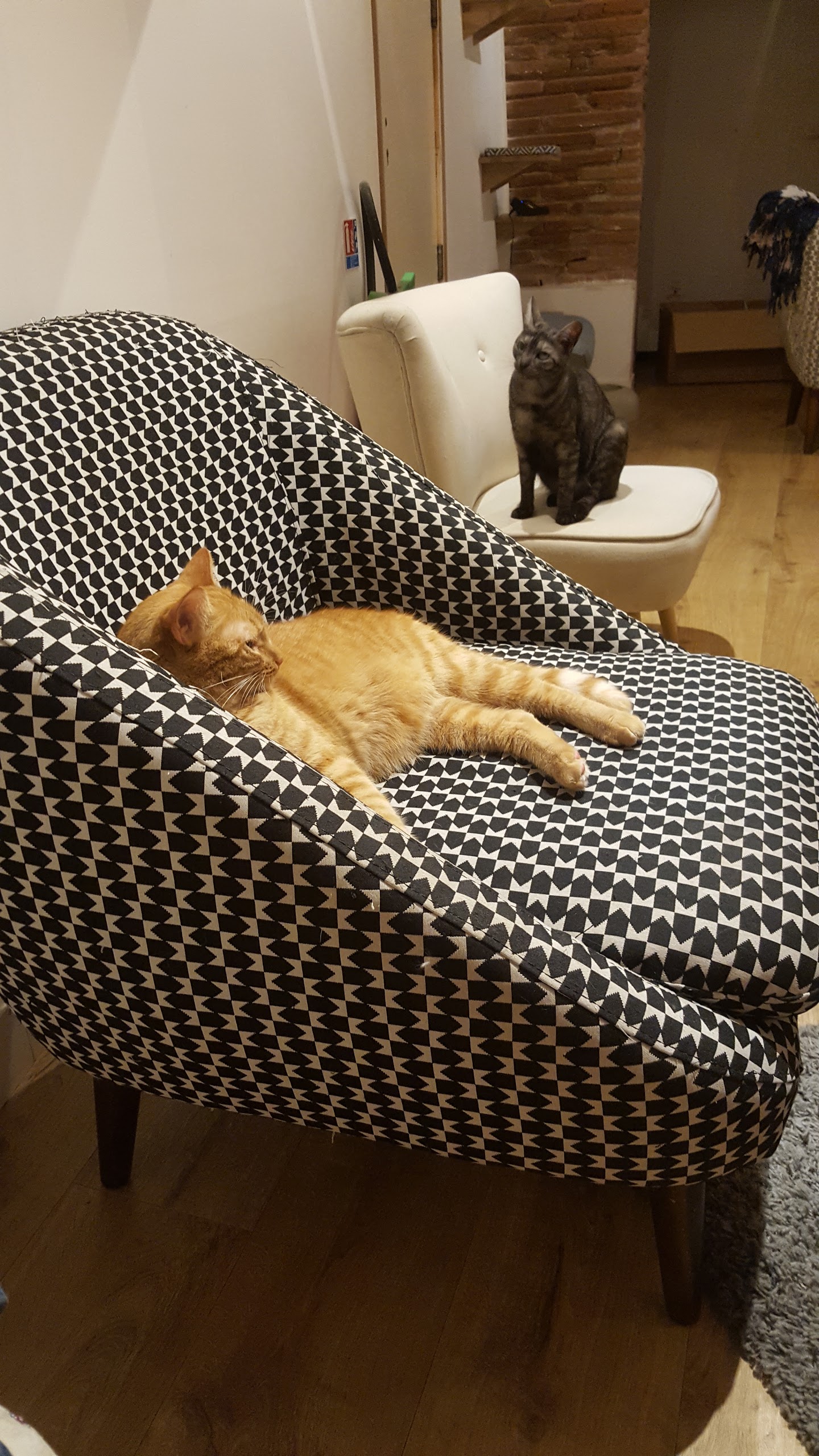 Photo n° 3 de l'avis de lucile.i fait le 25/01/2018 à 09:59