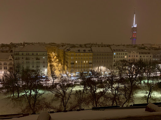 Penthouse Apartment in Vinohrady