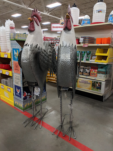 Home Improvement Store «Tractor Supply Co.», reviews and photos, 1869 NJ-38, Southampton Township, NJ 08088, USA