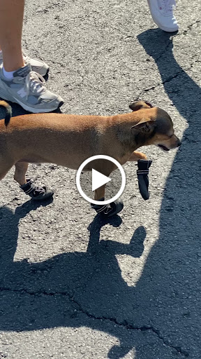 Pet Supply Store «PetSmart», reviews and photos, 9960 N 91st Ave, Peoria, AZ 85345, USA