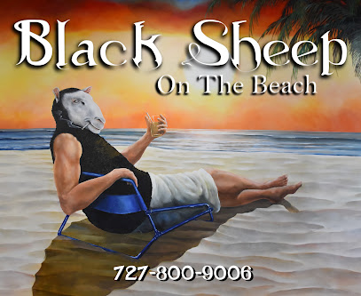Black Sheep On The Beach