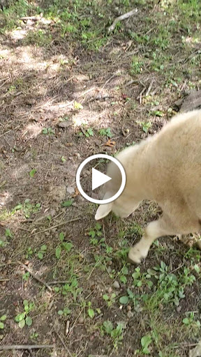 Park «Endicott Park (Town of Danvers)», reviews and photos, 57 Forest St, Danvers, MA 01923, USA