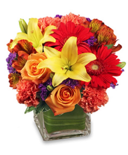 Florist «Absolutely Flowers Inc», reviews and photos, 430 NY-211, Middletown, NY 10940, USA