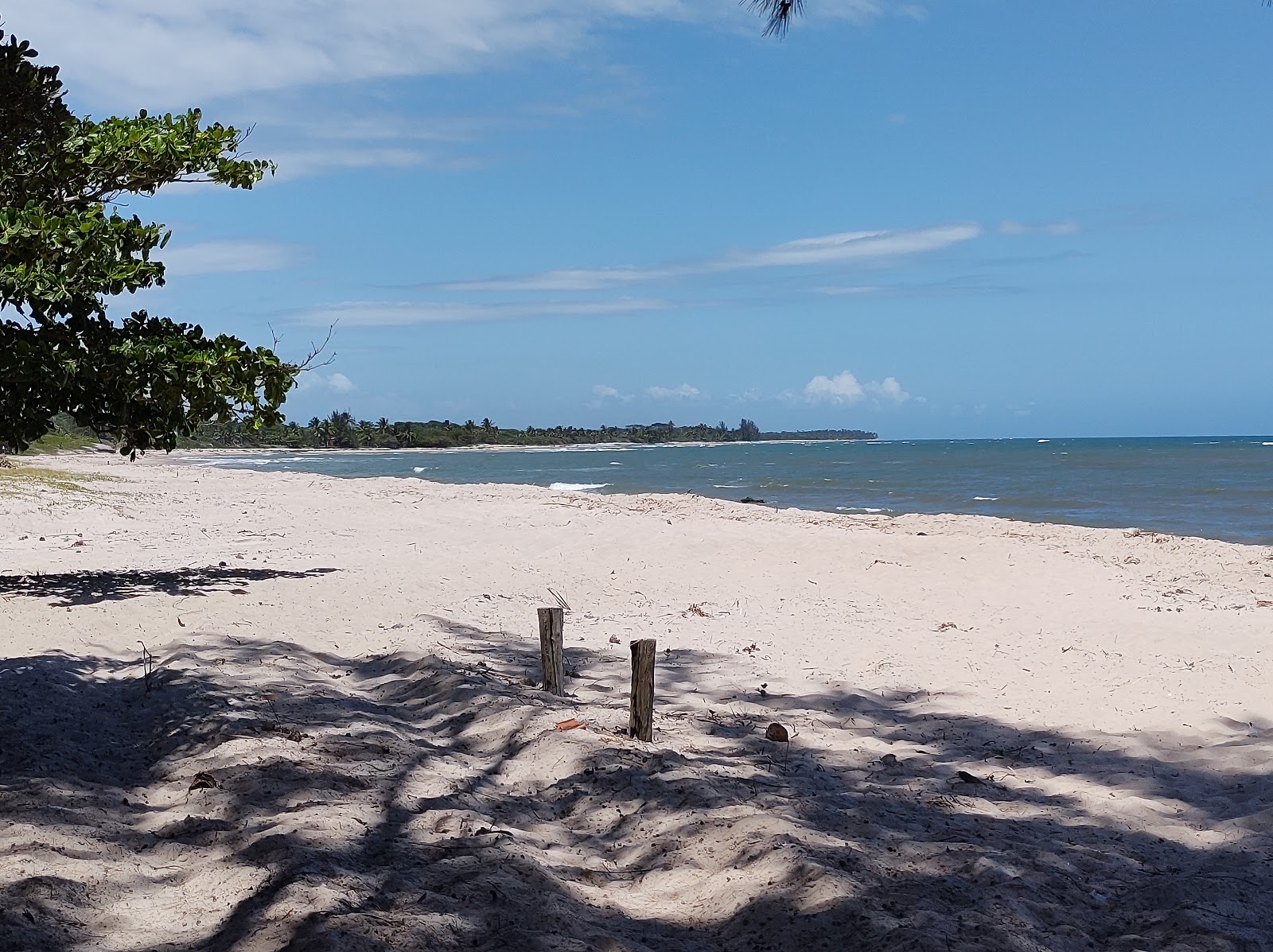 Photo de Praia dos Garcez avec rivage droit, long
