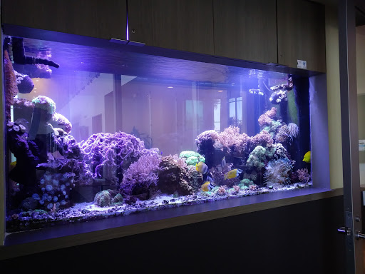 Lexus Dealer «Magnussen Lexus of Fremont», reviews and photos, 5600 Cushing Pkwy, Fremont, CA 94538, USA