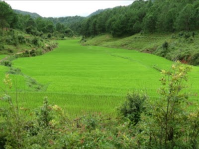 Photos of Ko Min Trekking Service