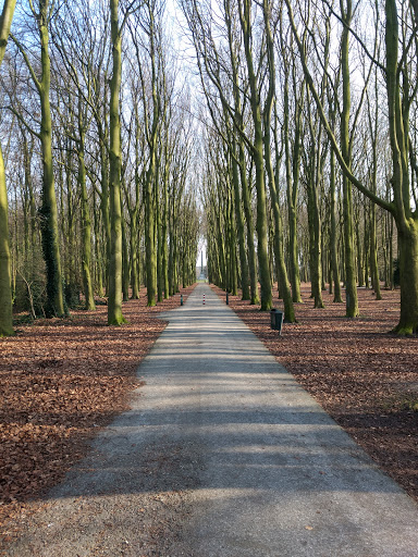 Rijswijkse Bos