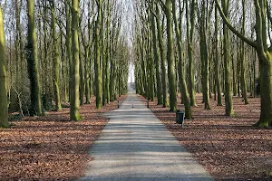 Rijswijk Forest image