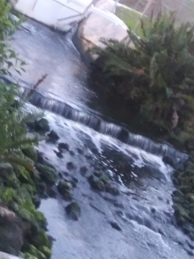 Department Store «Walmart Supercenter», reviews and photos, 2144 W Indiantown Rd, Jupiter, FL 33458, USA