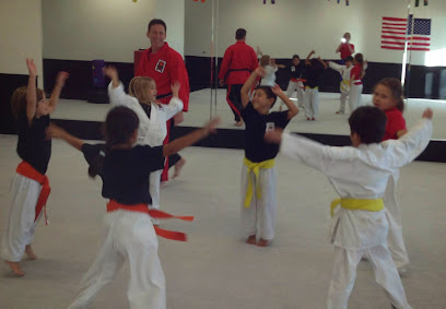 Trinity Martial Arts Skills Academy