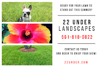 22 Under - The Lawn and Turf Professionals - Photo 7 - Car repair in , West Palm Beach