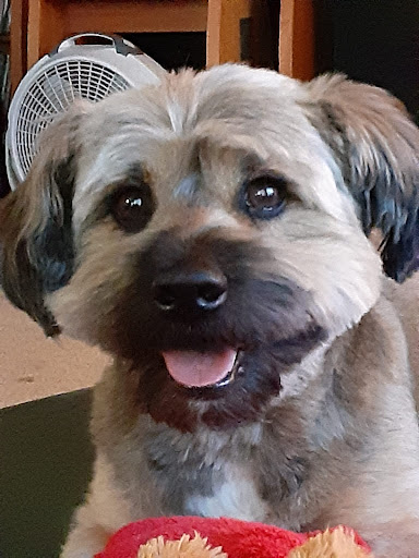 Pet Supply Store «Pet Food Express», reviews and photos, 838 Southampton Rd, Benicia, CA 94510, USA