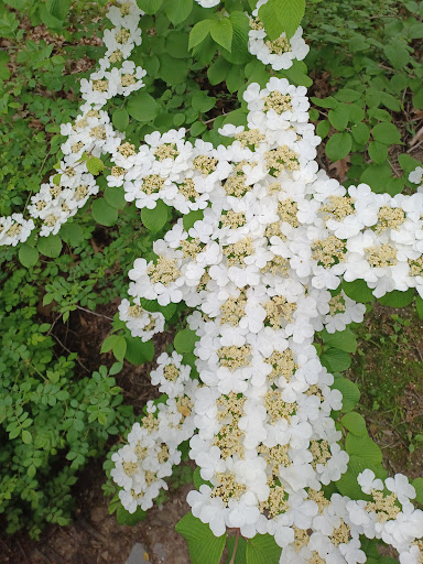 Park «Tibbetts Brook Park», reviews and photos, 355 Midland Ave, Yonkers, NY 10704, USA