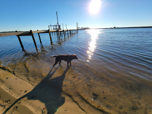 Photo of Pace Plumbing