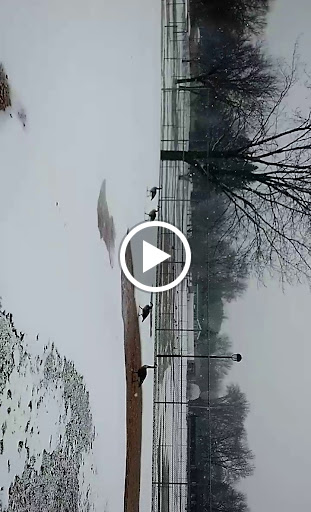 Park «Smith Park», reviews and photos, 8155 Park Ave S, Bloomington, MN 55420, USA