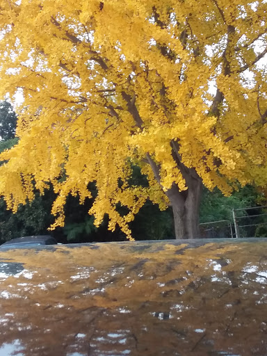 Electronics Store «Best Buy», reviews and photos, 5520 E Skelly Dr, Tulsa, OK 74135, USA