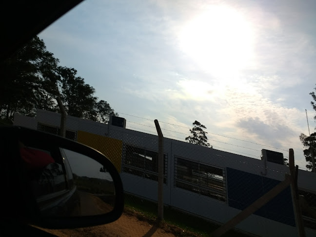 Comentarii opinii despre Liceo N° 8