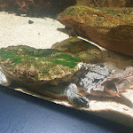 Photo n° 9 de l'avis de Sandra.n fait le 18/03/2022 à 08:51 pour Palais de la Porte Dorée à Paris