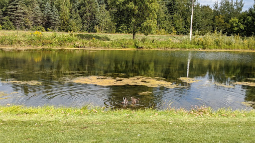 Golf Club «Heritage Links Golf Club», reviews and photos, 8075 Lucerne Blvd, Lakeville, MN 55044, USA