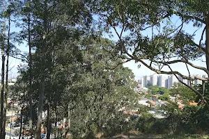Parque Ipanema image