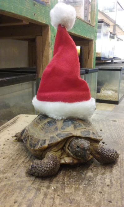 Very kind and helpful staff. I did a lot of research before my purchase but they were experienced enough to fill the gaps