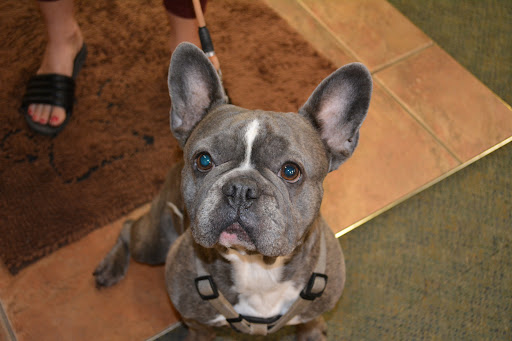 Pet Supply Store «The Natural Pet Enrichment Center», reviews and photos, 6720 Royalton Rd, North Royalton, OH 44133, USA