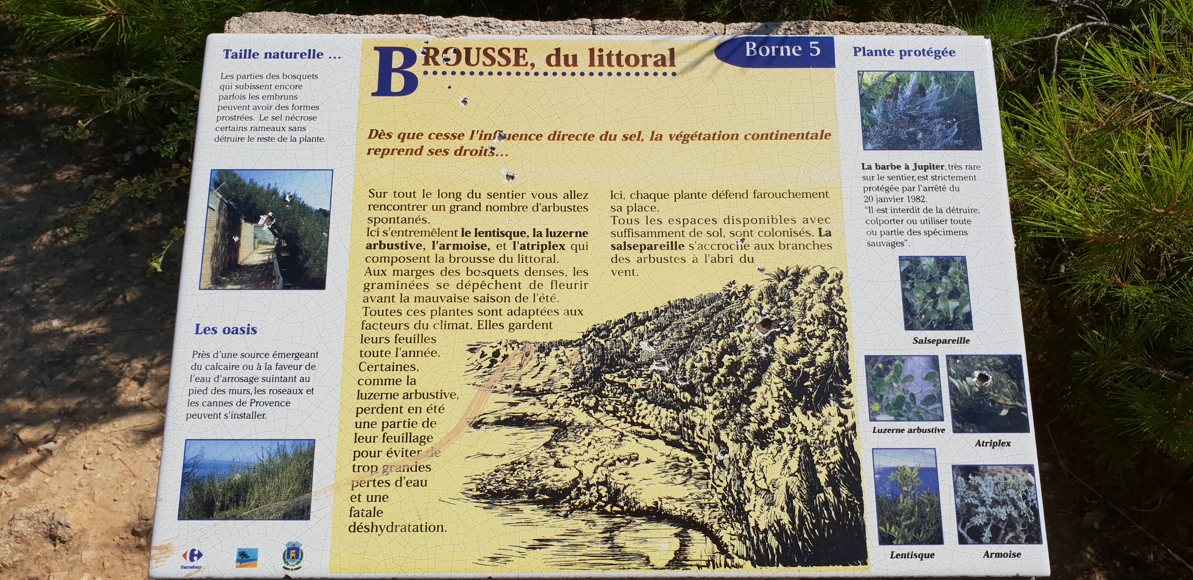 Photo n° 35 de l'avis de Dominique.A fait le 18/07/2018 à 08:27