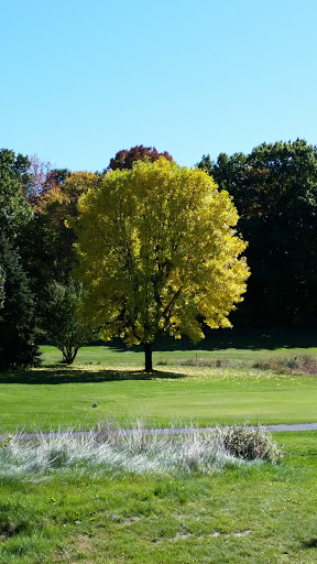 Golf Club «Butternut Farm Golf Club», reviews and photos, 115 Wheeler Rd, Stow, MA 01775, USA