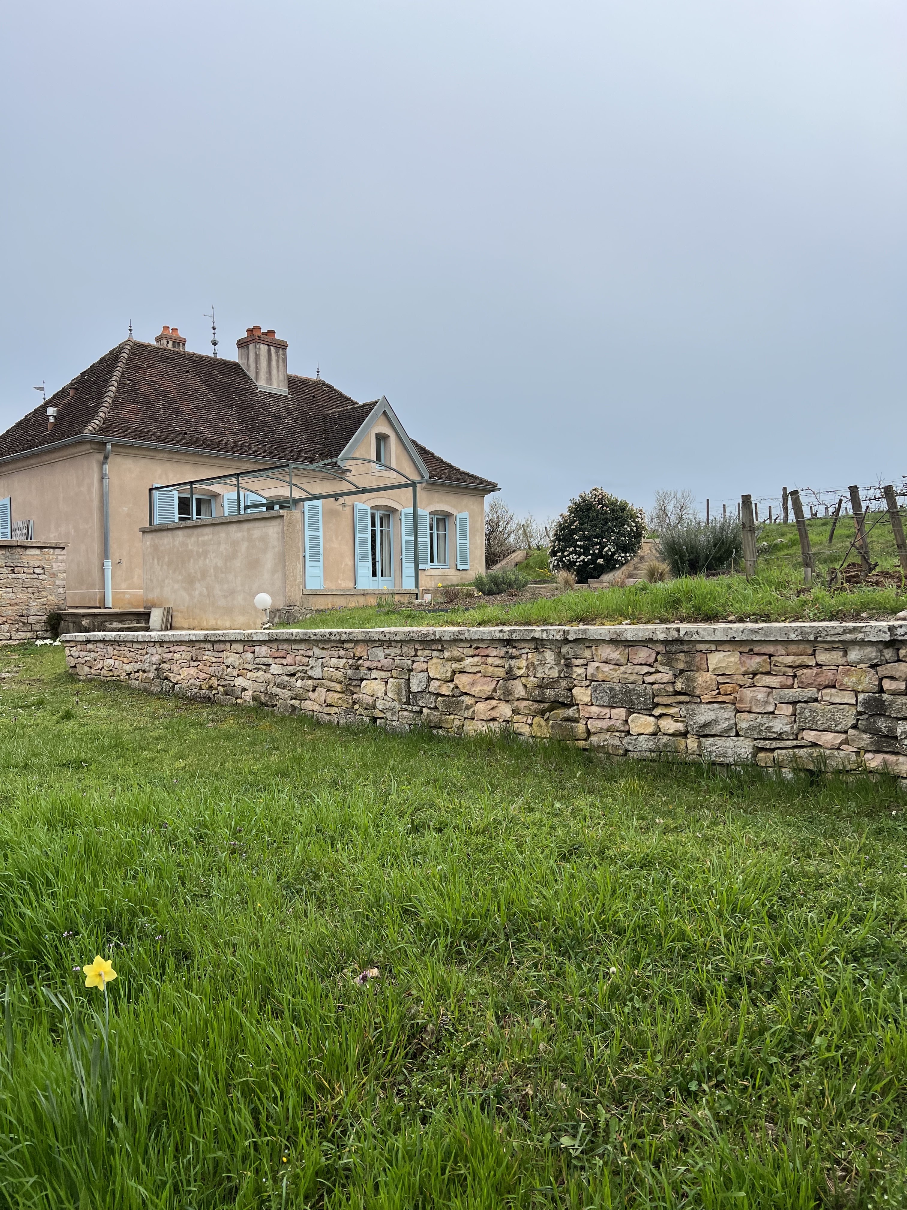 Photo n° 2 de l'avis de Sapir.a fait le 23/03/2023 à 16:14
