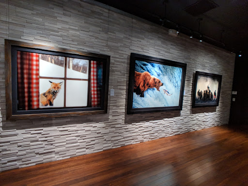 Art Gallery «National Geographic | Fine Art Galleries», reviews and photos, 607 E Las Olas Blvd, Fort Lauderdale, FL 33301, USA