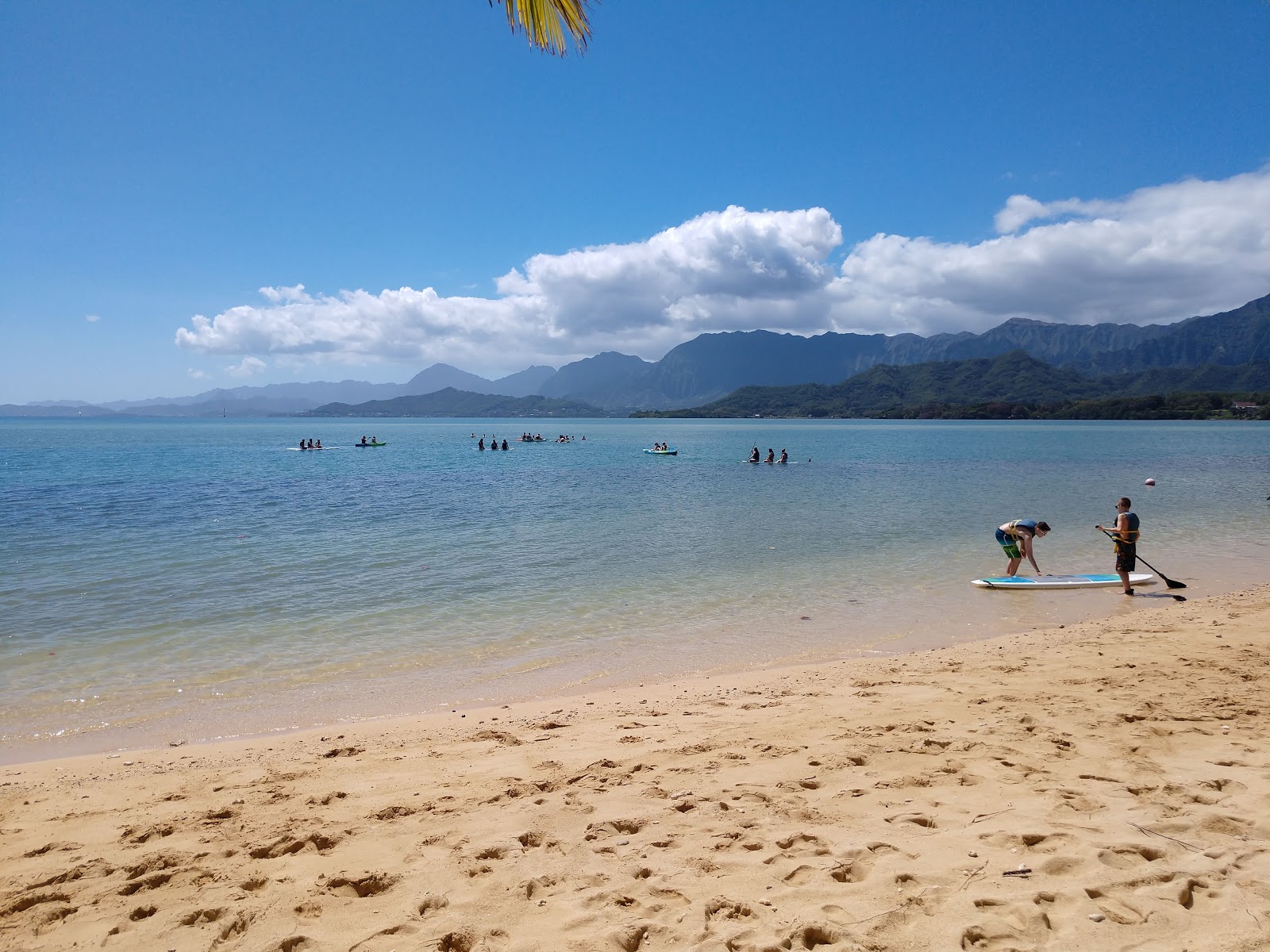 Secret Island Beach的照片 带有碧绿色纯水表面