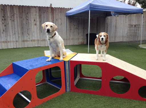 Bow Wow Bungalow image