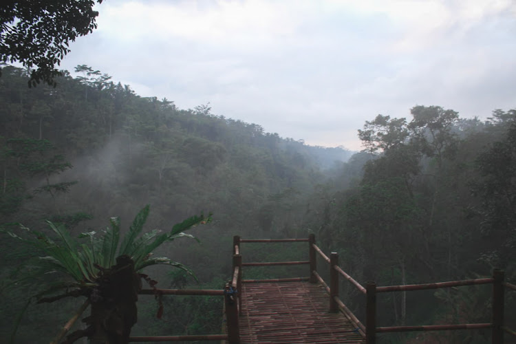 3 Penginapan Menarik di Kabupaten Bangli: Temukan Keindahan di The Volcania, De Villas KUBU SANDAN, dan Taman Santi