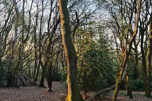 Kenilworth Common image