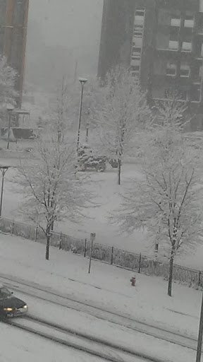 Non-Profit Organization «Urban Ministries of Durham», reviews and photos