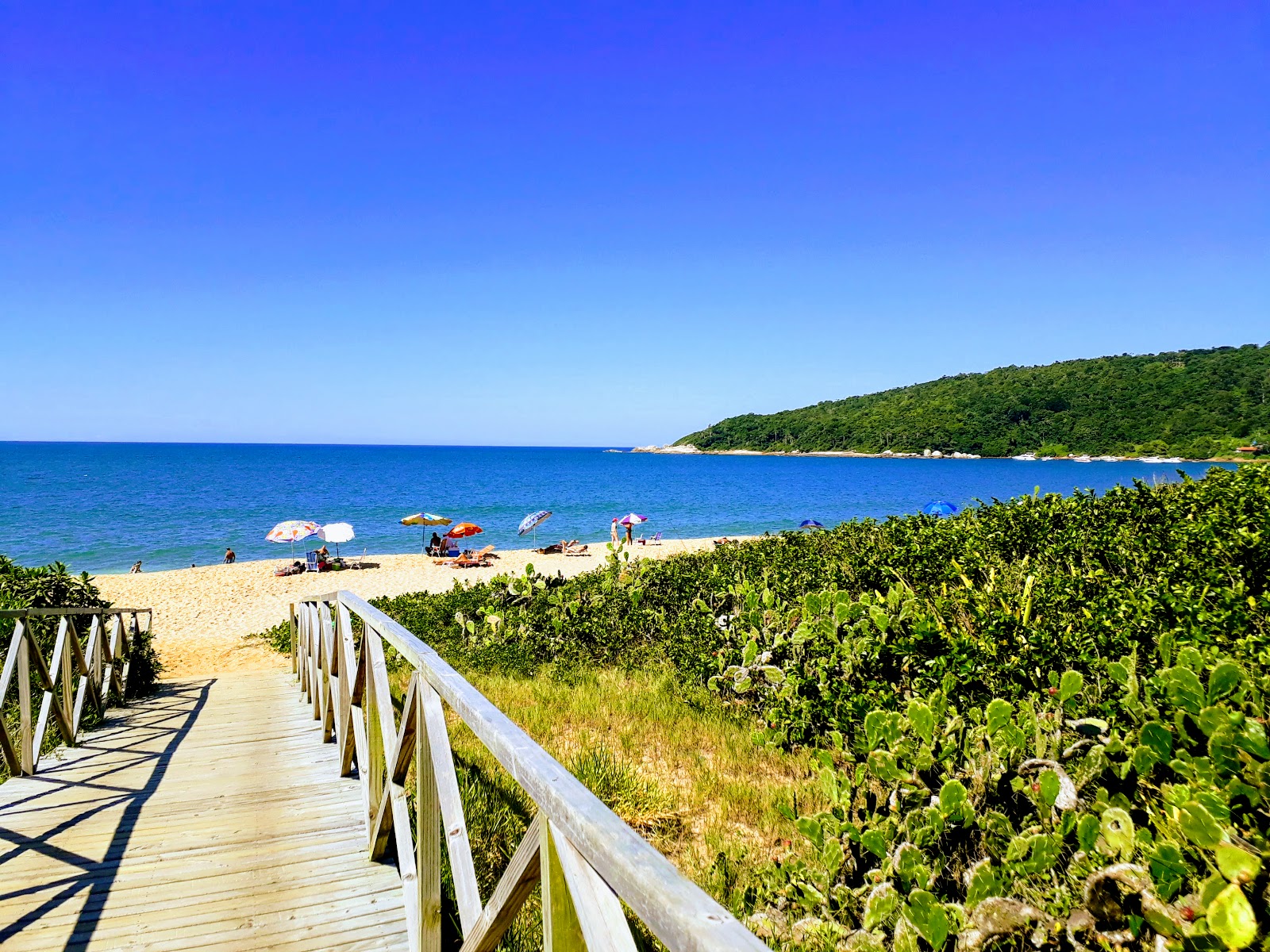 Praia de Taquaras'in fotoğrafı çok temiz temizlik seviyesi ile