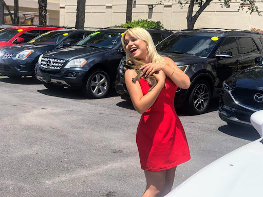 Used Car Dealer «EZ Own Car Sales», reviews and photos, 1405 N Killian Dr, West Palm Beach, FL 33403, USA