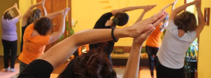 Escola Yoga Miguel Correia