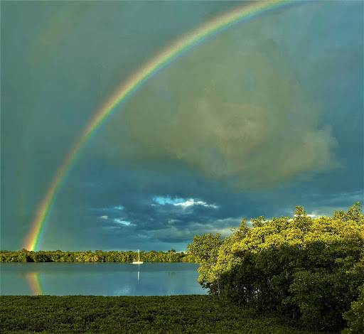 Marine Supply Store «West Marine», reviews and photos, 1463 US-1, Fort Pierce, FL 34946, USA