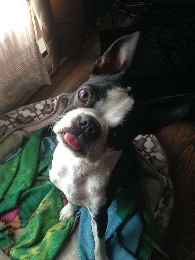 Amusement Park «Palace Playland», reviews and photos, 1 Old Orchard St, Old Orchard Beach, ME 04064, USA