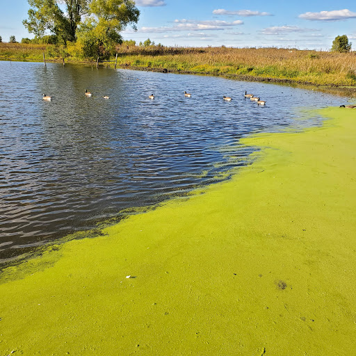 Nature Preserve «Rollins Savanna Forest Preserve», reviews and photos, 20160 W Washington St, Grayslake, IL 60030, USA