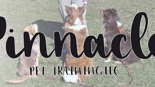 Pinnacle Pet Training