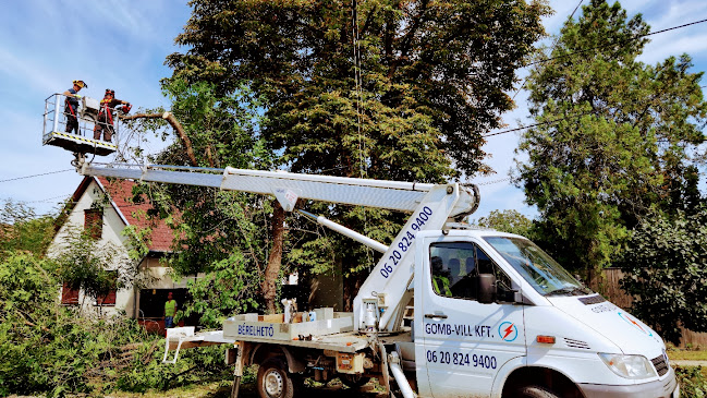 Emelőkosaras autó bérlés