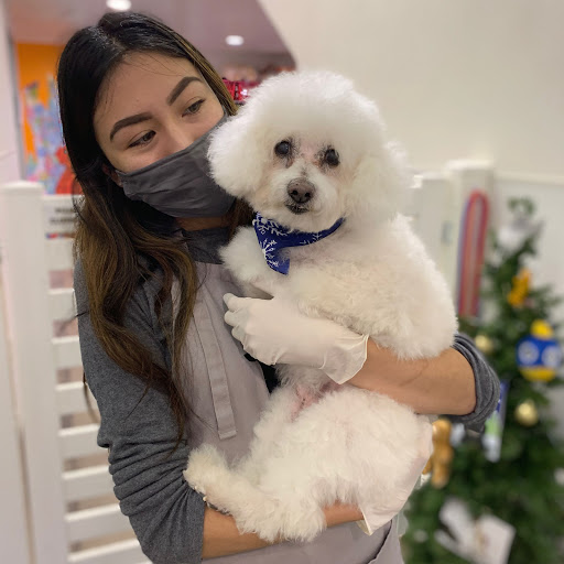 Kennel «K9 Loft», reviews and photos, 495 S Arroyo Pkwy, Pasadena, CA 91105, USA