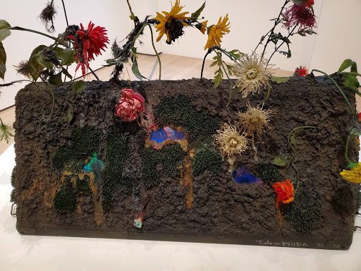 Modern Art Museum «The Museum of Modern Art», reviews and photos, 11 W 53rd St, New York, NY 10019, USA