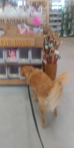 Pet Supply Store «Essex County Co-Op», reviews and photos, 146 S Main St, Topsfield, MA 01983, USA