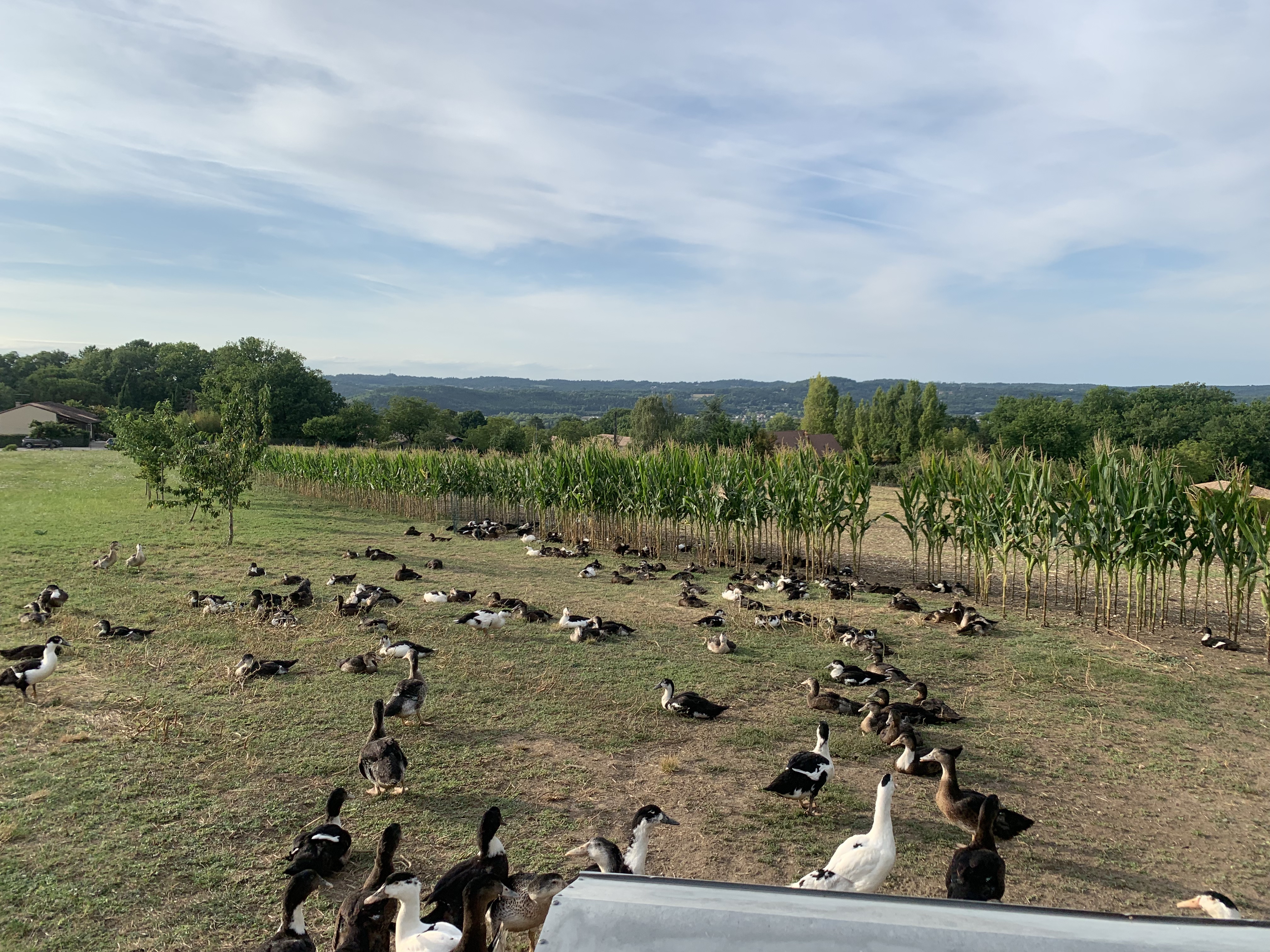 Photo n° 2 de l'avis de bruno.s fait le 15/08/2023 à 19:34