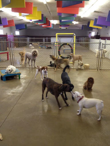 Happy Tails Doggie Day Care & Boarding