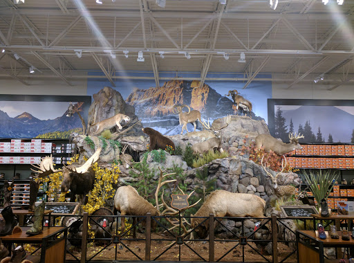 Outdoor Sports Store «Field & Stream», reviews and photos, 24600 Katy Fwy Ste 1100B, Katy, TX 77493, USA