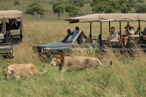 ROAR AFRICA - Luxury African Safaris image 8